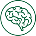 Nervensystem<br> (Gehirn, Rückenmark, Nerven)