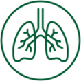 Organsystem<br> (Organe)