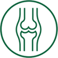 Meridiansystem<br> (Muskeln, Sehen, Knochen)
